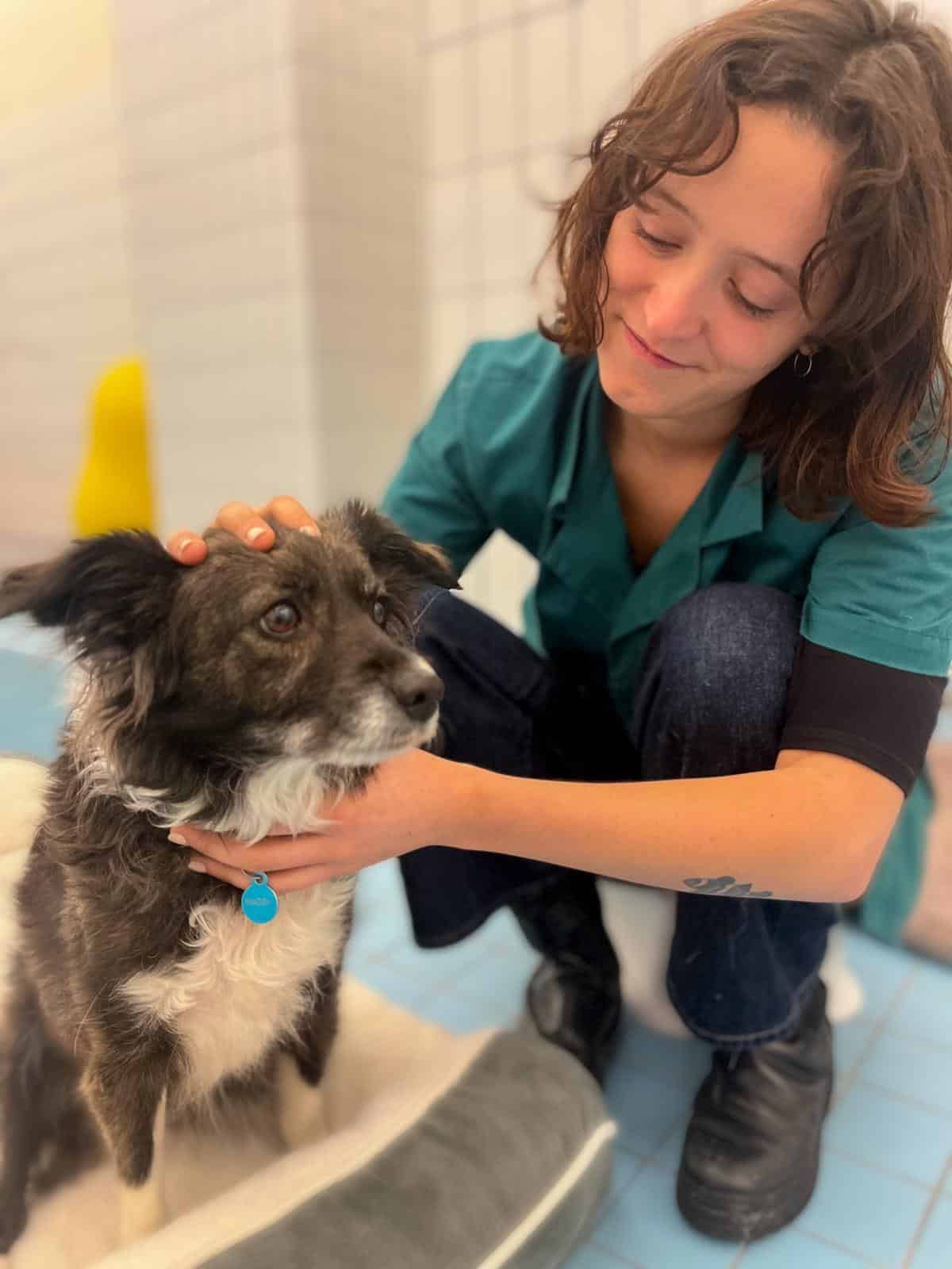 Alice avec un chien en session d’ostéopathie