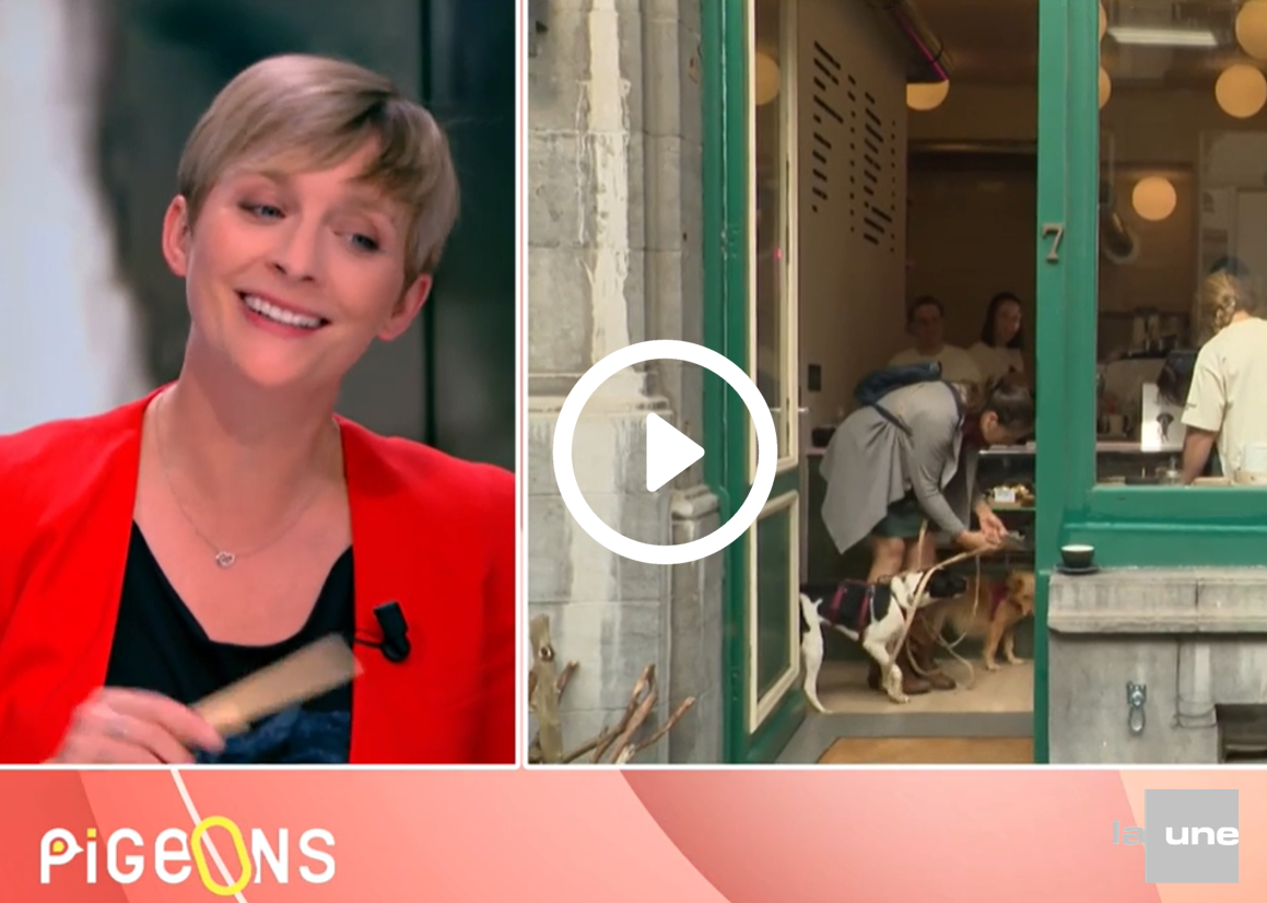 Vidéo de La Une dans "On n'est pas des pigeons" du 4 septembre 2025